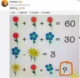 娱乐吃瓜酱数学题,一场趣味与智慧的较量